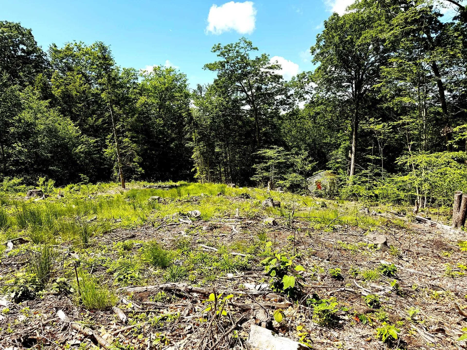 Tm 132 L 91 Buck Lane Gilmanton NH 03237