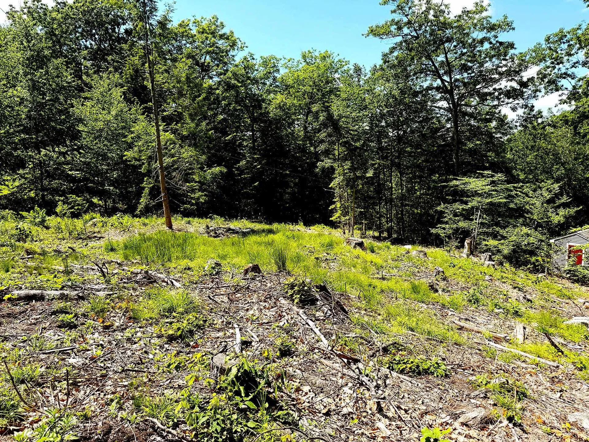 Tm 132 L 91 Buck Lane Gilmanton NH 03237