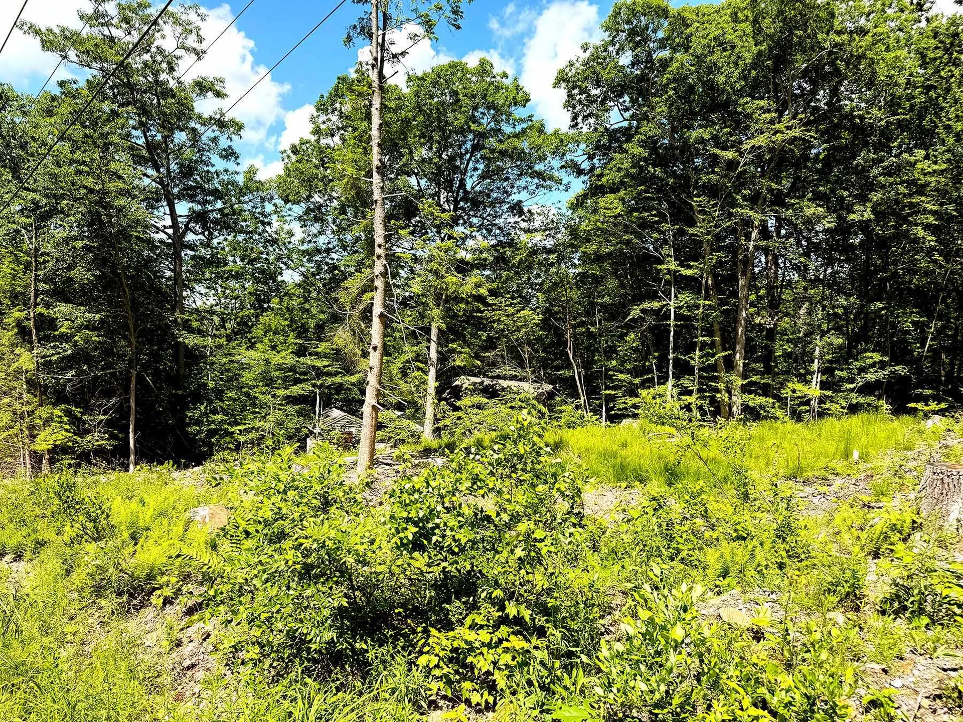 Tm 132 L 91 Buck Lane Gilmanton NH 03237