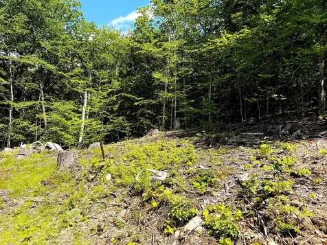 Tm 132 L 91 Buck Lane Gilmanton NH 03237