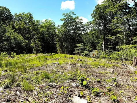 Tm 132 L 91 Buck Lane Gilmanton NH 03237