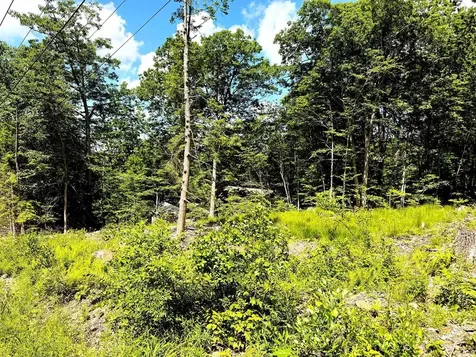 Tm 132 L 91 Buck Lane Gilmanton NH 03237