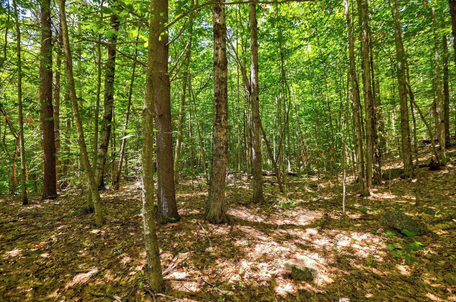 Lot 12-2 Needle Eye Road Meredith NH 03253