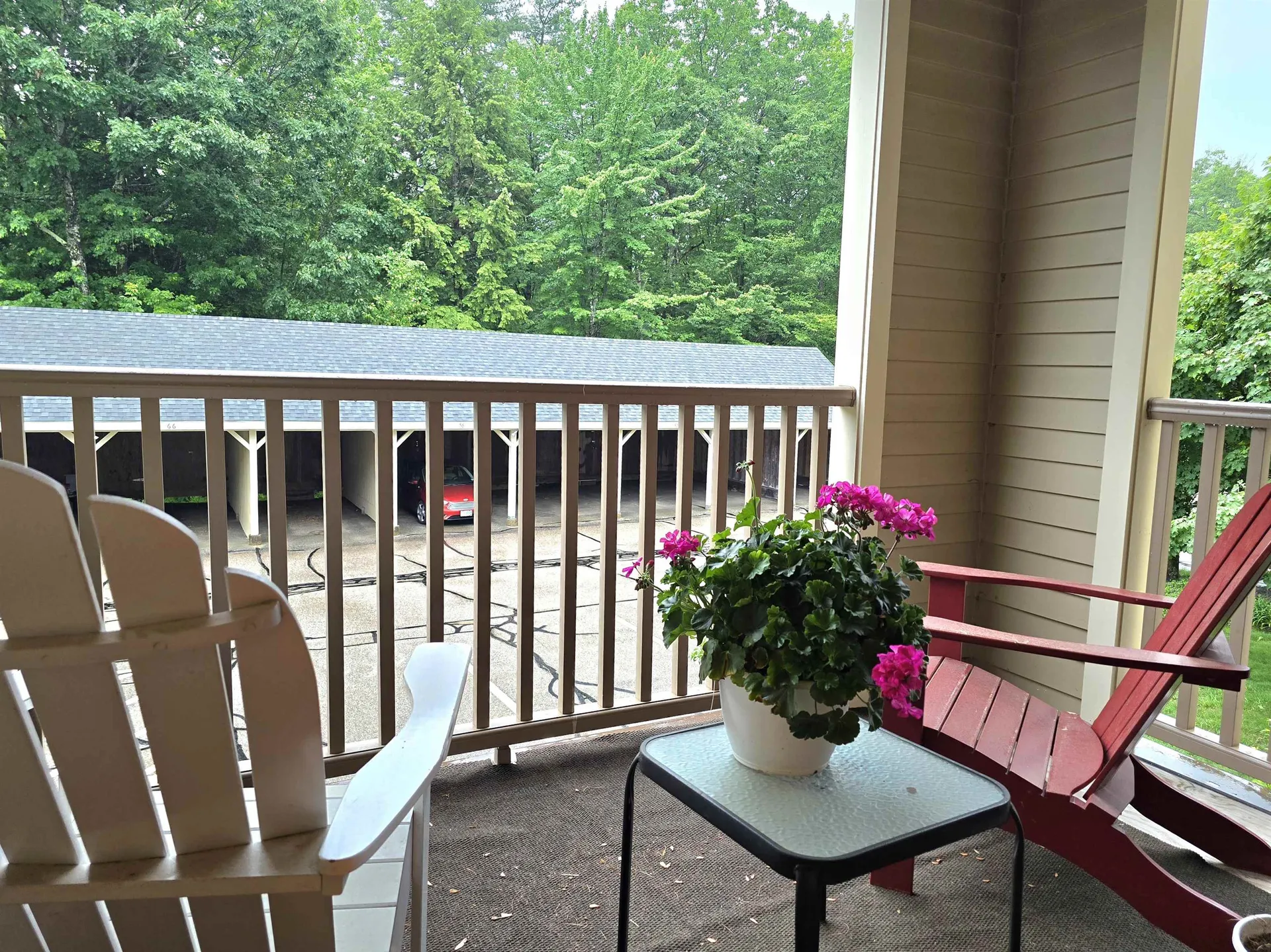 19 Saco Street Conway NH 03813