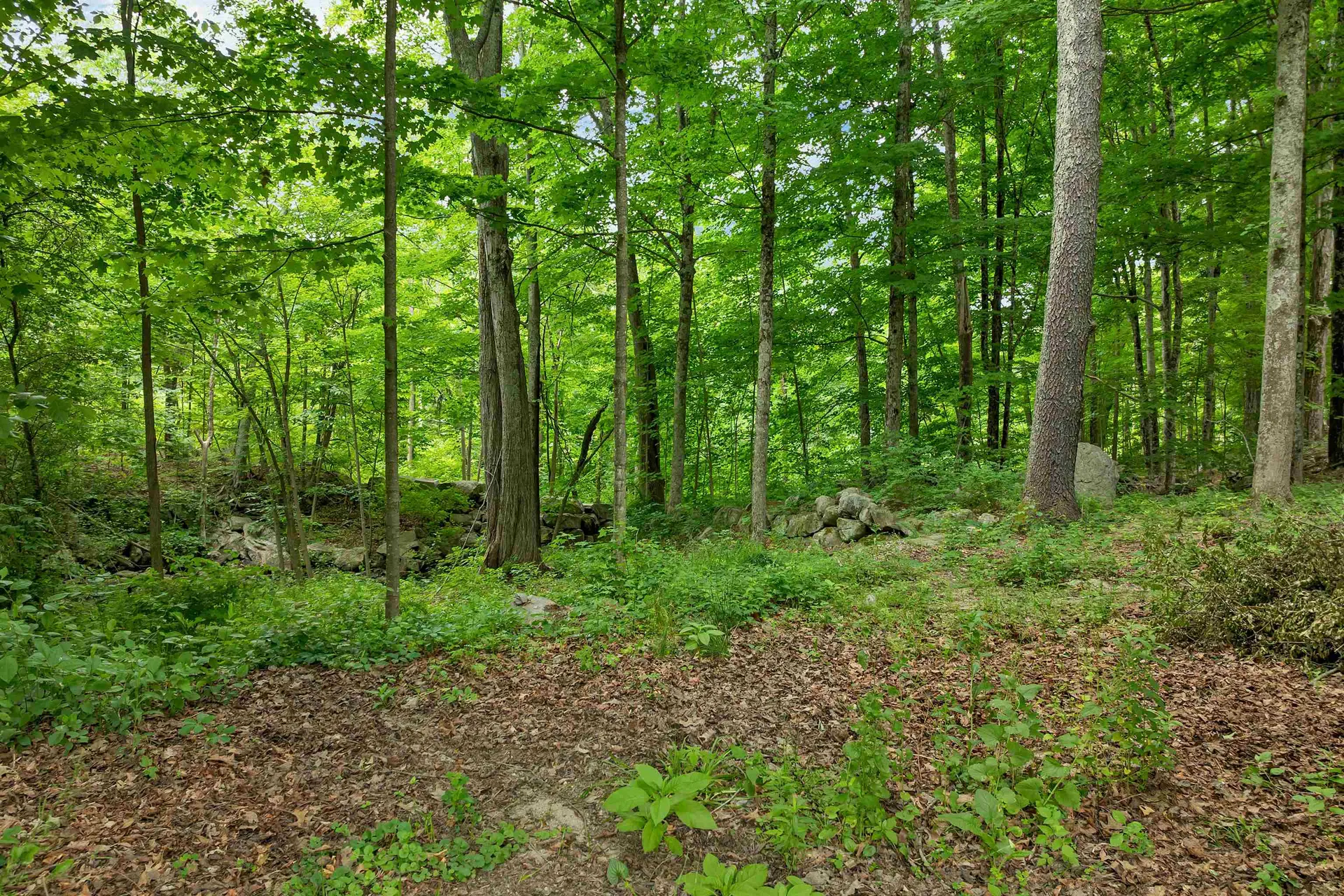 64 N Amherst Road Bedford NH 03110