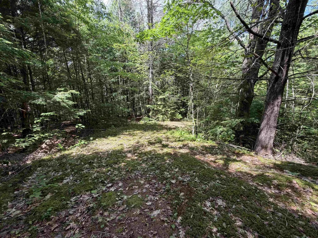 Nh Route 175 Campton NH 03223
