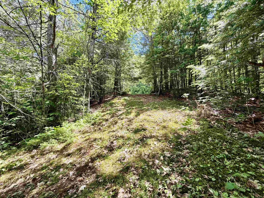 Nh Route 175 Campton NH 03223