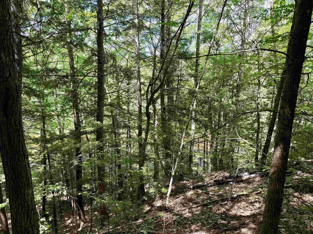 Nh Route 175 Campton NH 03223