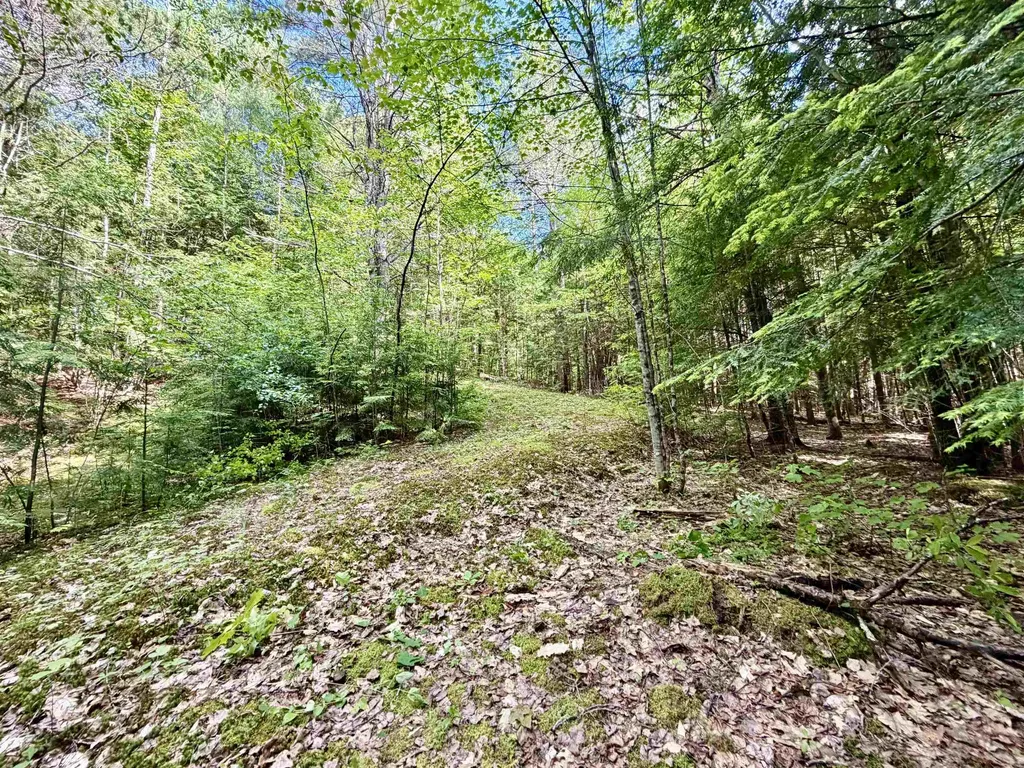 Nh Route 175 Campton NH 03223