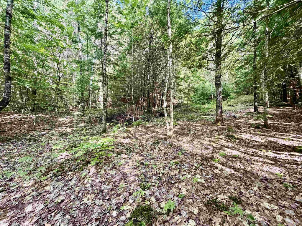 Nh Route 175 Campton NH 03223