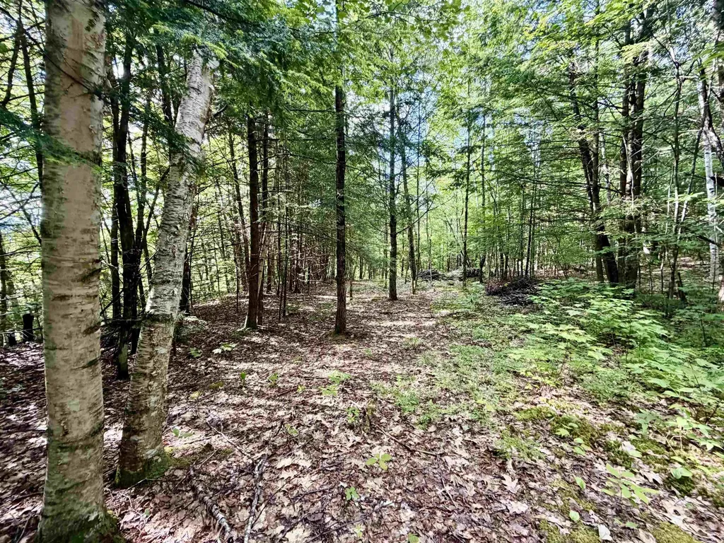 Nh Route 175 Campton NH 03223