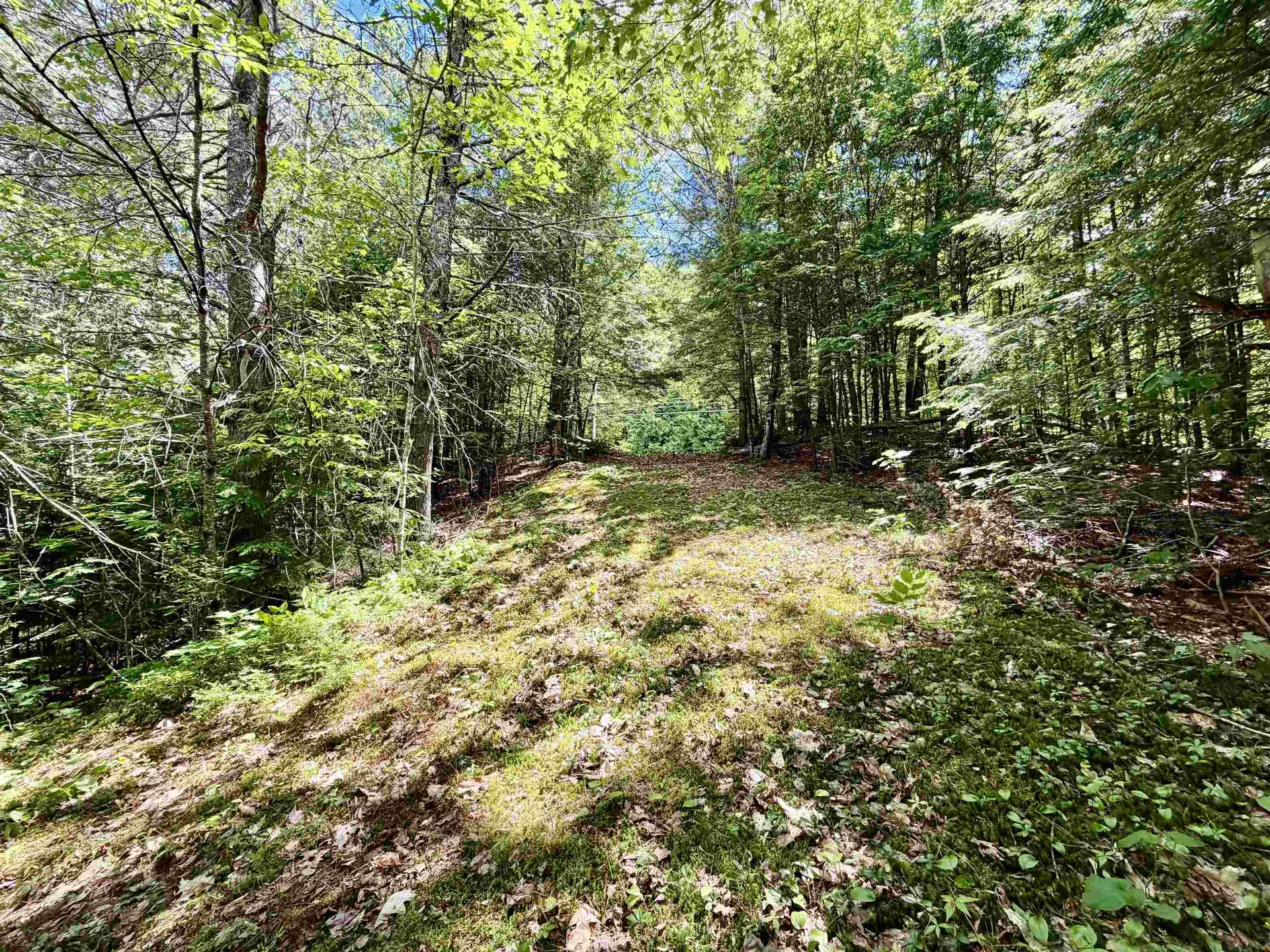 Nh Route 175 Campton NH 03223