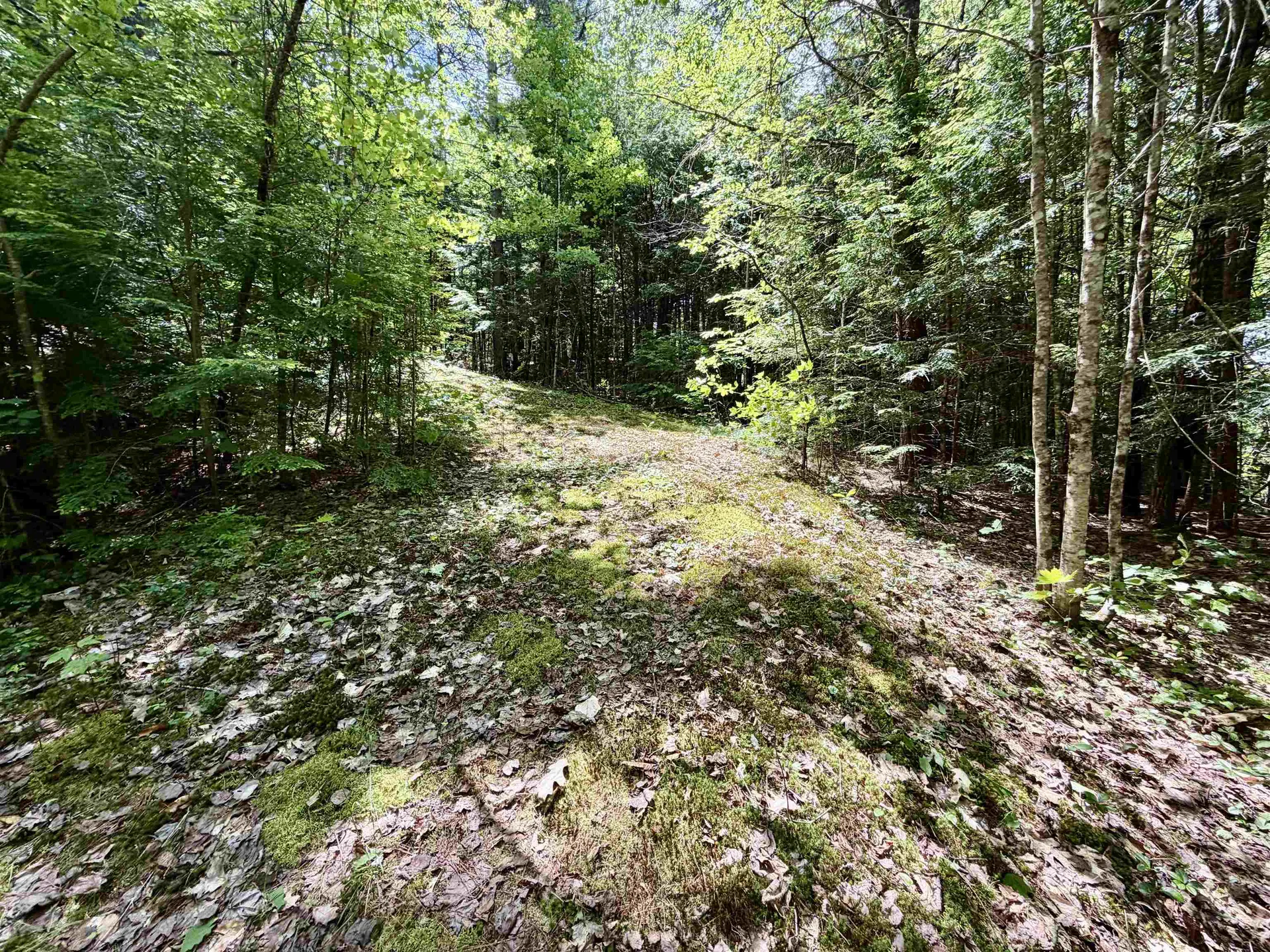 Nh Route 175 Campton NH 03223