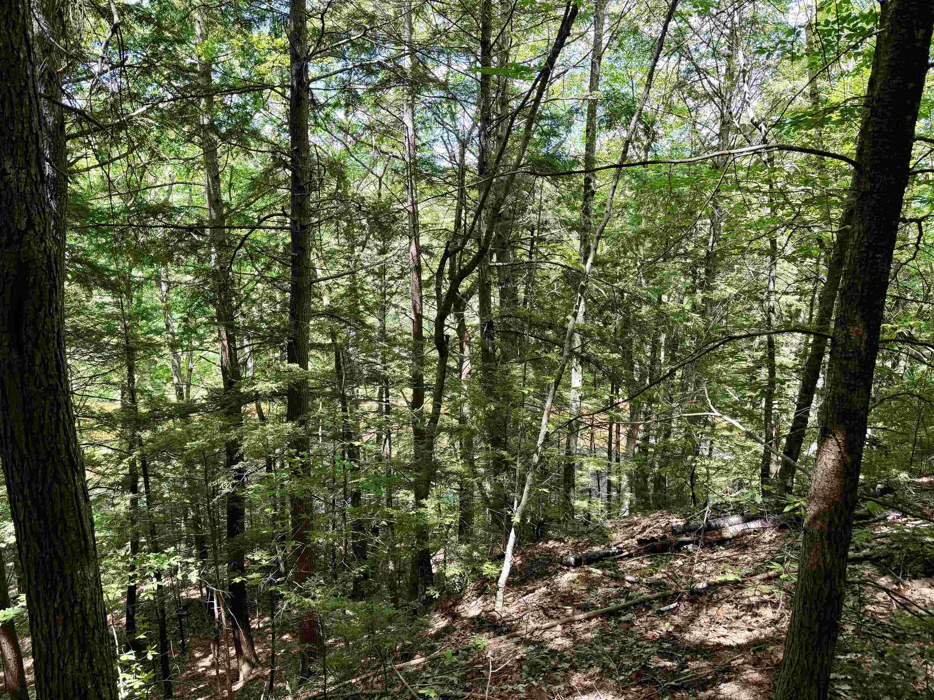 Nh Route 175 Campton NH 03223