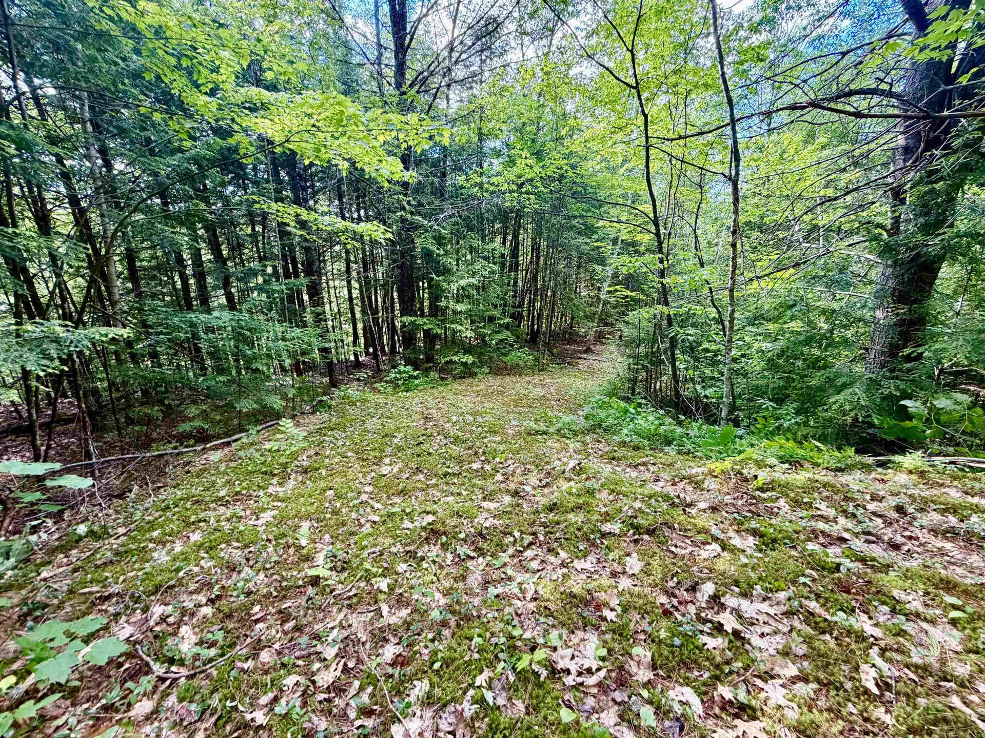 Nh Route 175 Campton NH 03223