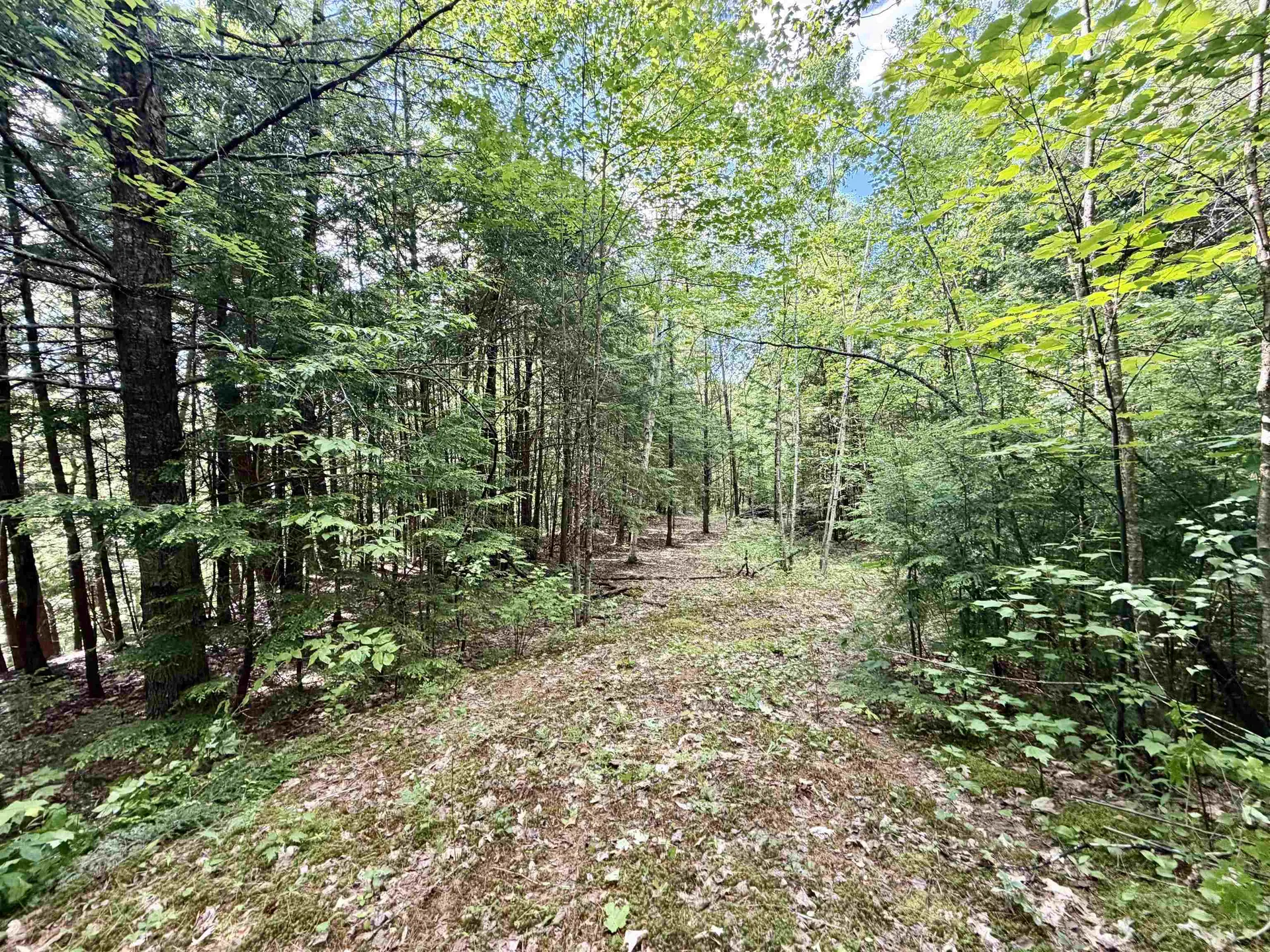 Nh Route 175 Campton NH 03223