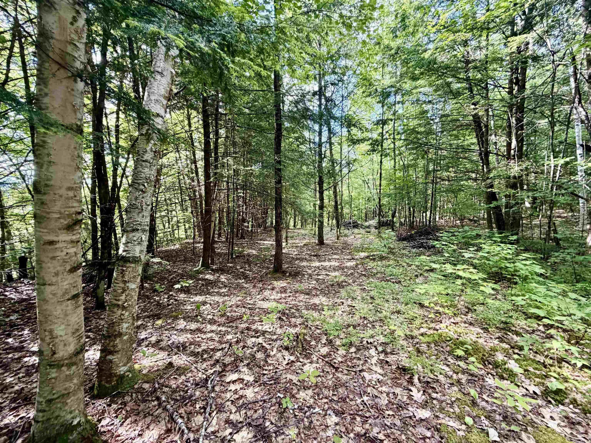Nh Route 175 Campton NH 03223