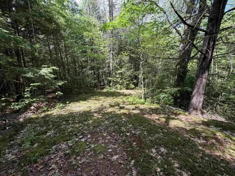 Nh Route 175 Campton NH 03223