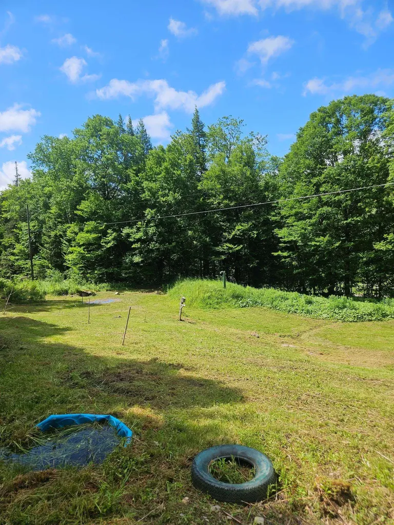 1806 Bosley Hill Road Readsboro VT 05350