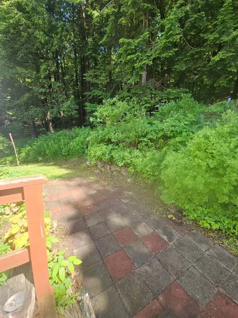 1806 Bosley Hill Road Readsboro VT 05350