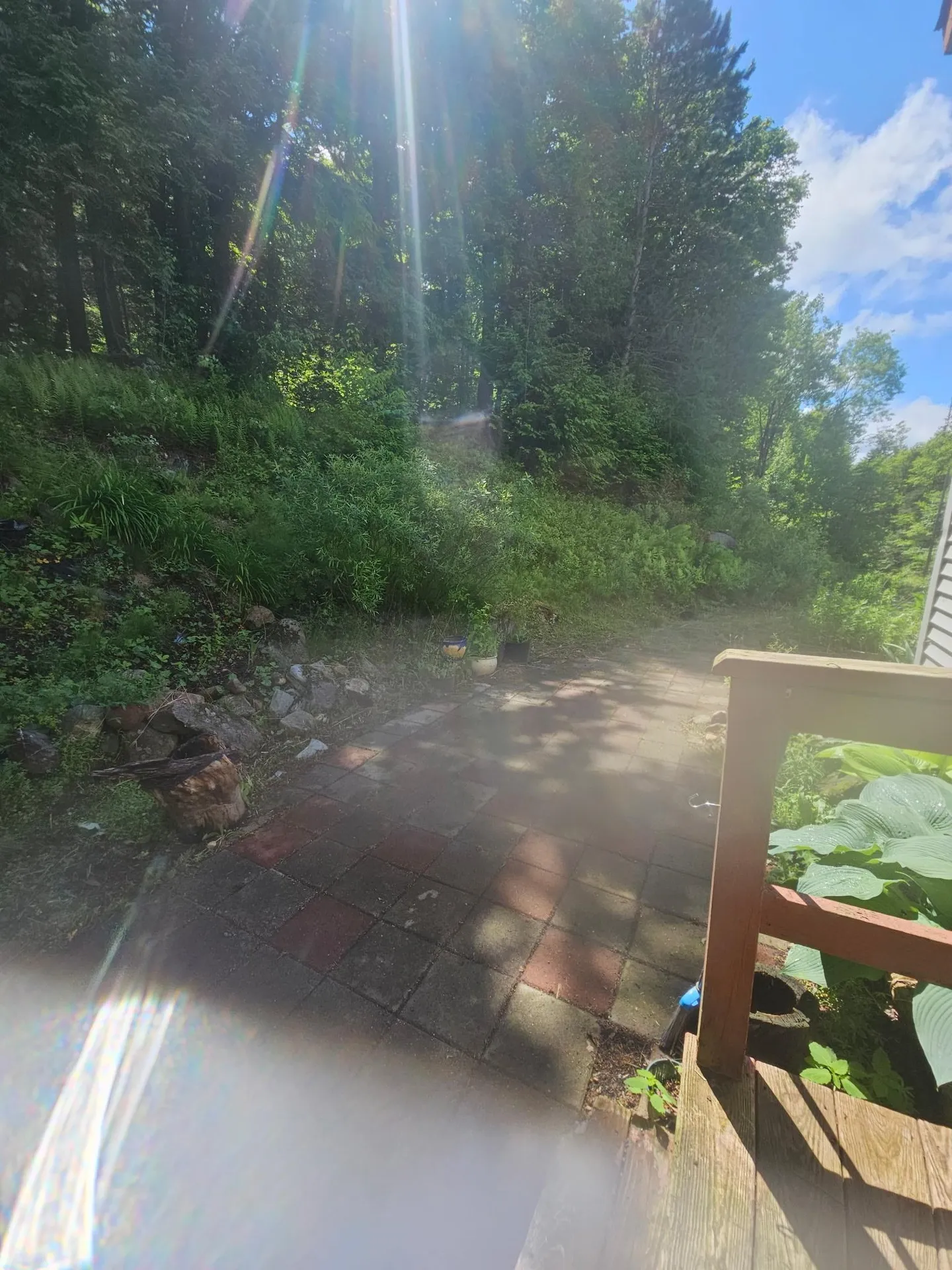 1806 Bosley Hill Road Readsboro VT 05350