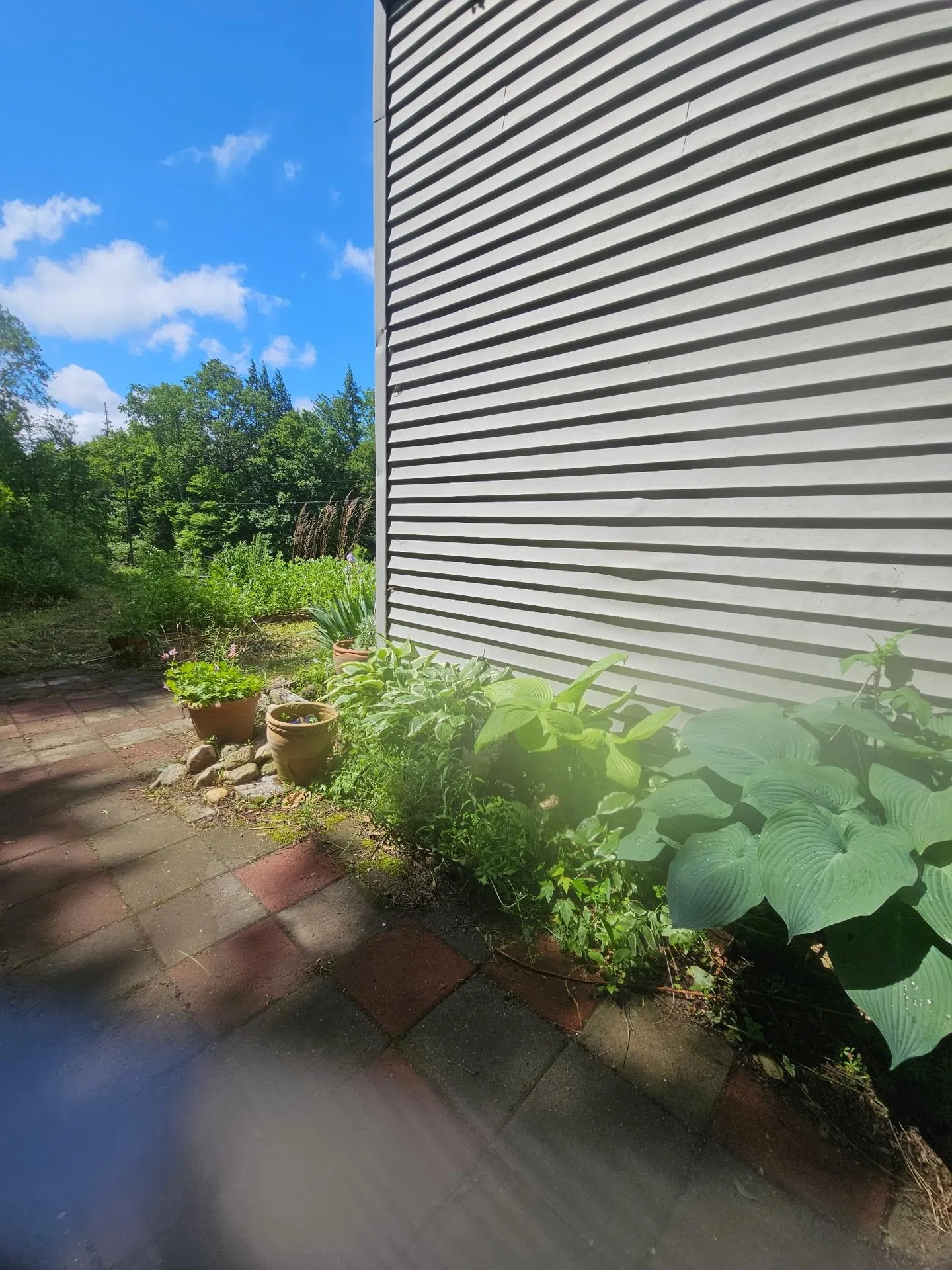 1806 Bosley Hill Road Readsboro VT 05350
