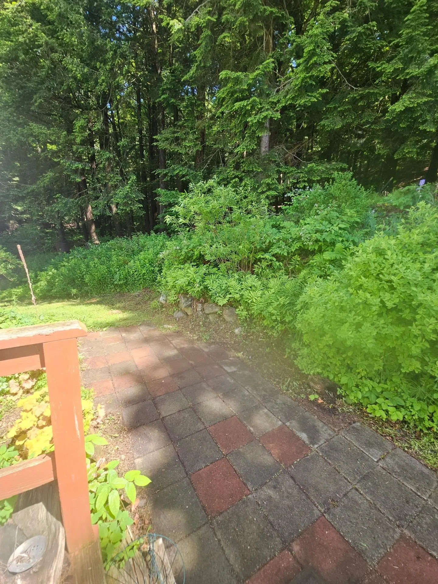 1806 Bosley Hill Road Readsboro VT 05350