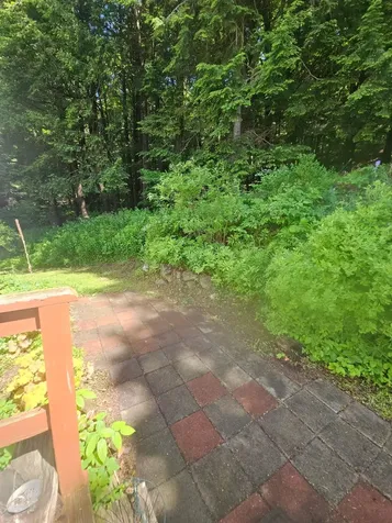 1806 Bosley Hill Road Readsboro VT 05350