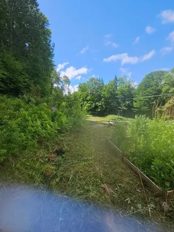 1806 Bosley Hill Road Readsboro VT 05350