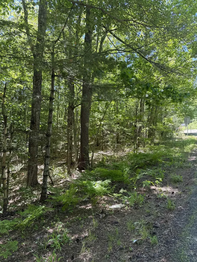Lot 33, 34, 35 Washington Street Barrington NH 03825