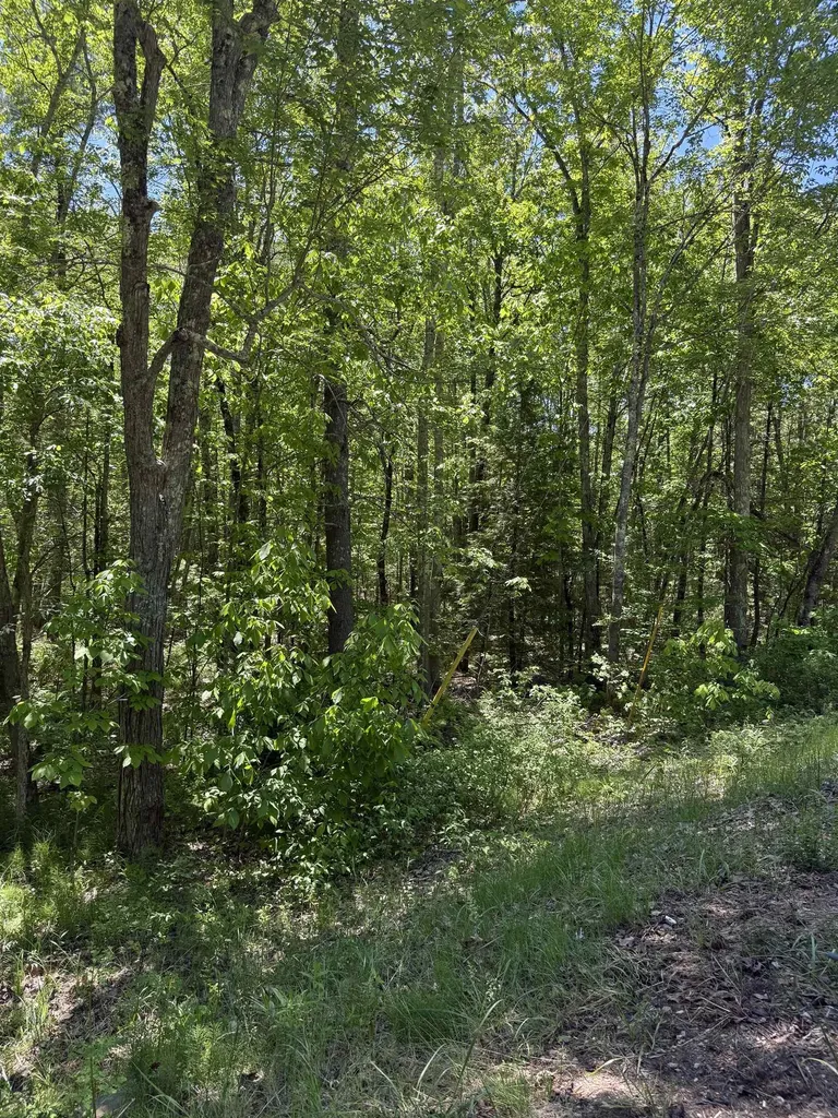 Lot 33, 34, 35 Washington Street Barrington NH 03825