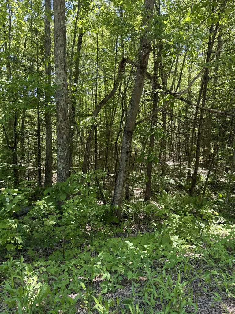 Lot 33, 34, 35 Washington Street Barrington NH 03825