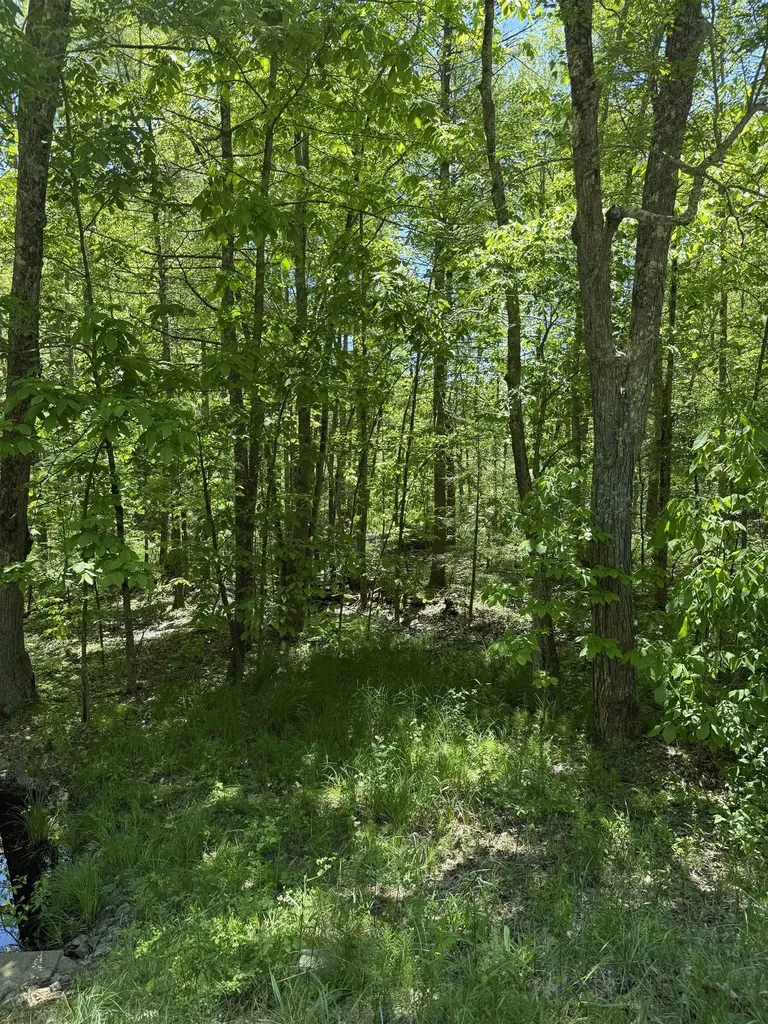 Lot 33, 34, 35 Washington Street Barrington NH 03825