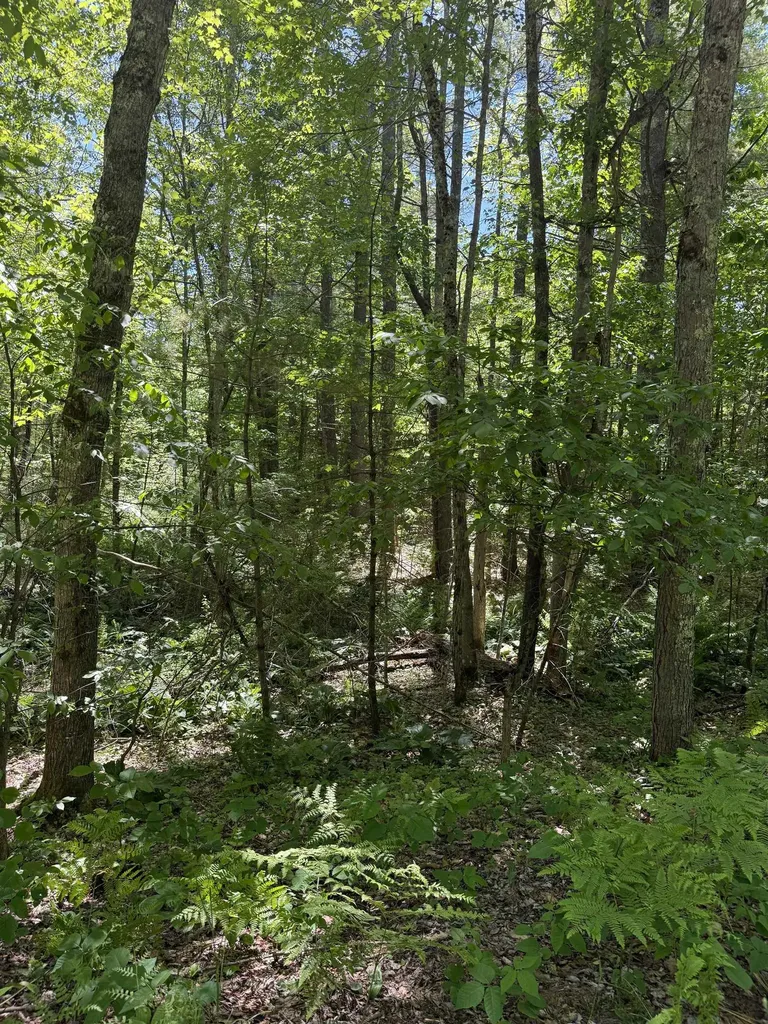 Lot 33, 34, 35 Washington Street Barrington NH 03825