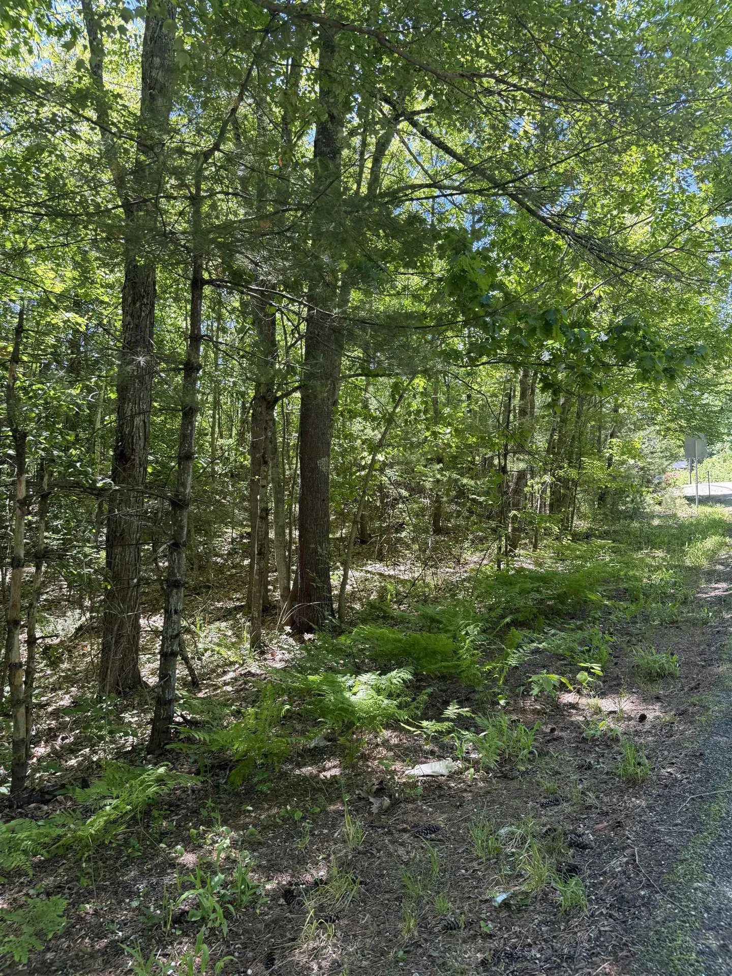 Lot 33, 34, 35 Washington Street Barrington NH 03825