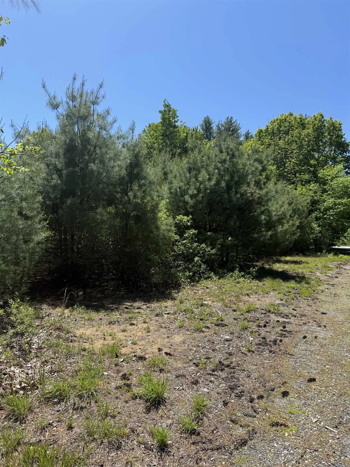 Lot 33, 34, 35 Washington Street Barrington NH 03825