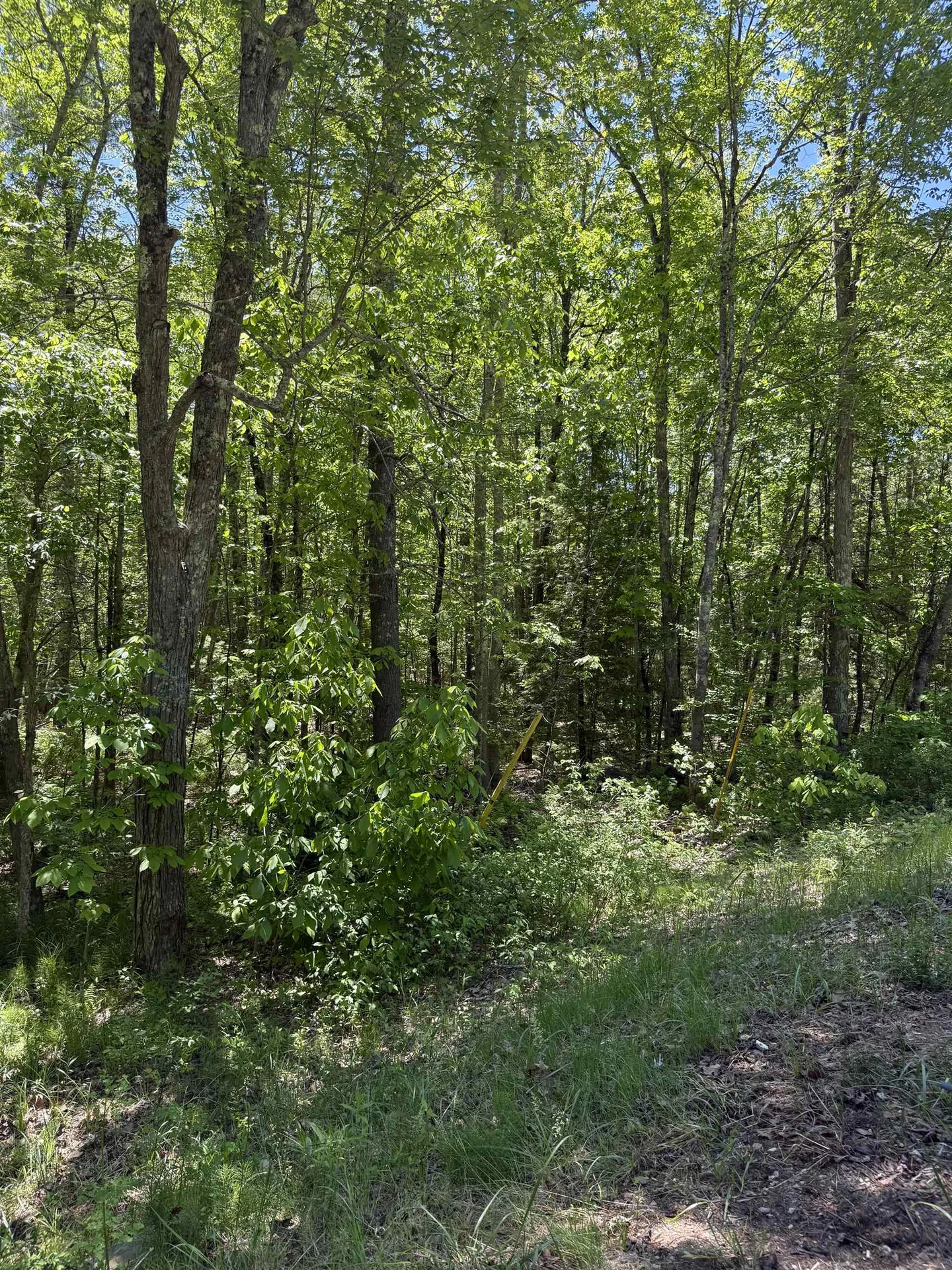 Lot 33, 34, 35 Washington Street Barrington NH 03825