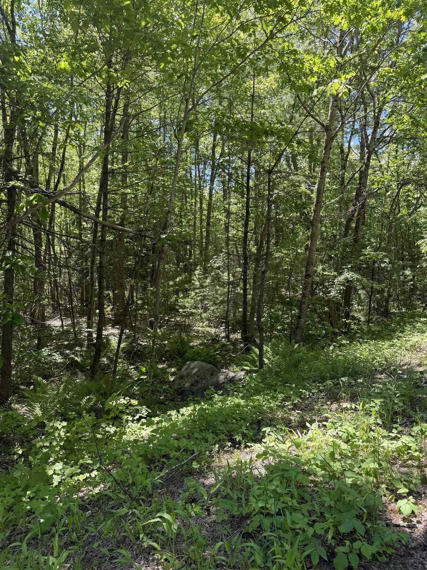 Lot 33, 34, 35 Washington Street Barrington NH 03825