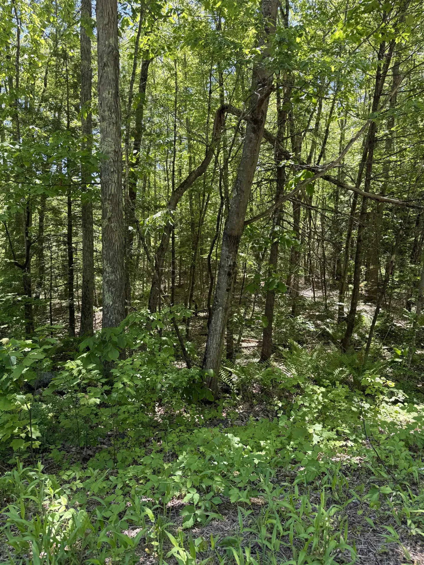 Lot 33, 34, 35 Washington Street Barrington NH 03825