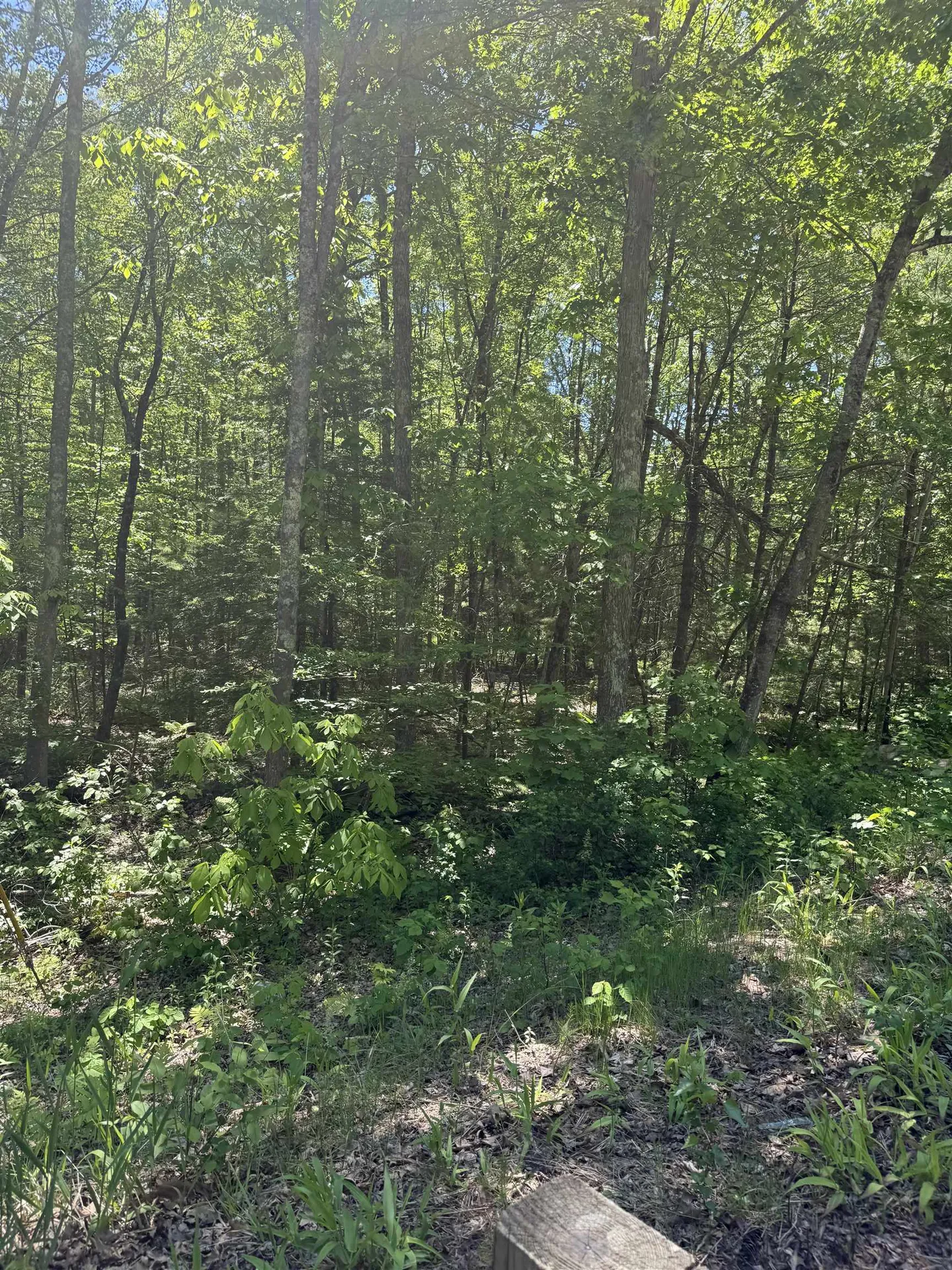 Lot 33, 34, 35 Washington Street Barrington NH 03825