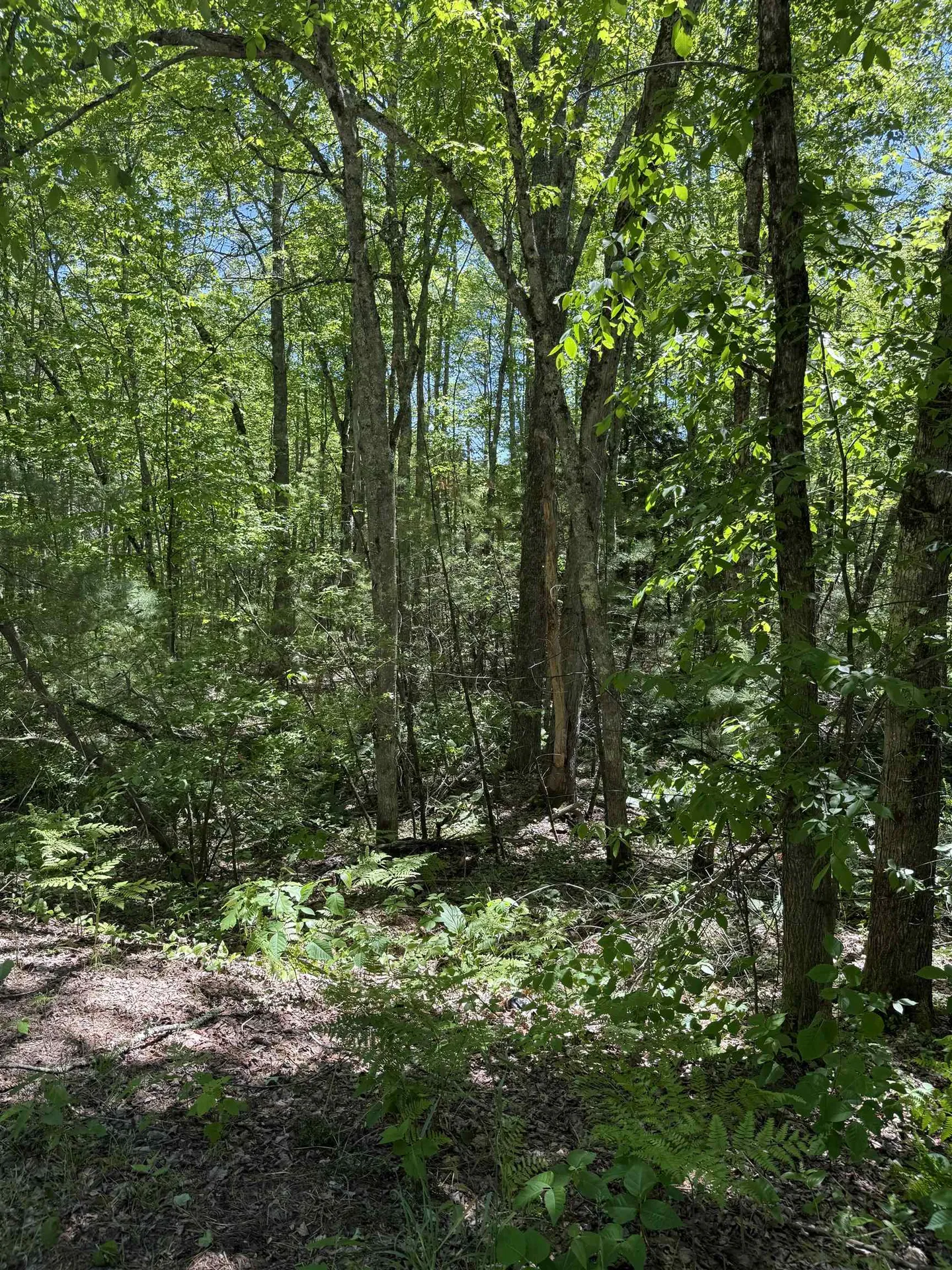 Lot 33, 34, 35 Washington Street Barrington NH 03825
