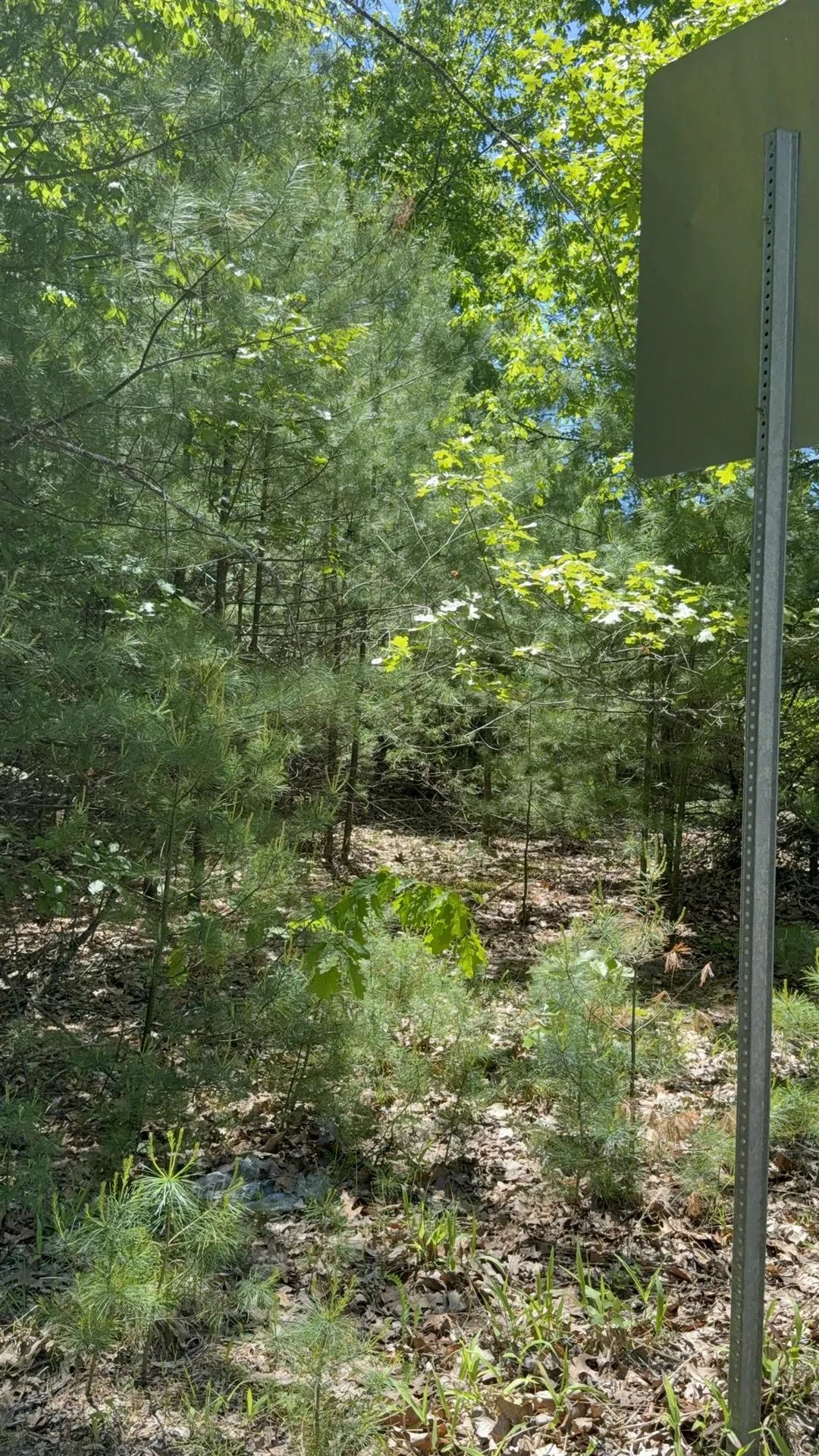 Lot 33, 34, 35 Washington Street Barrington NH 03825