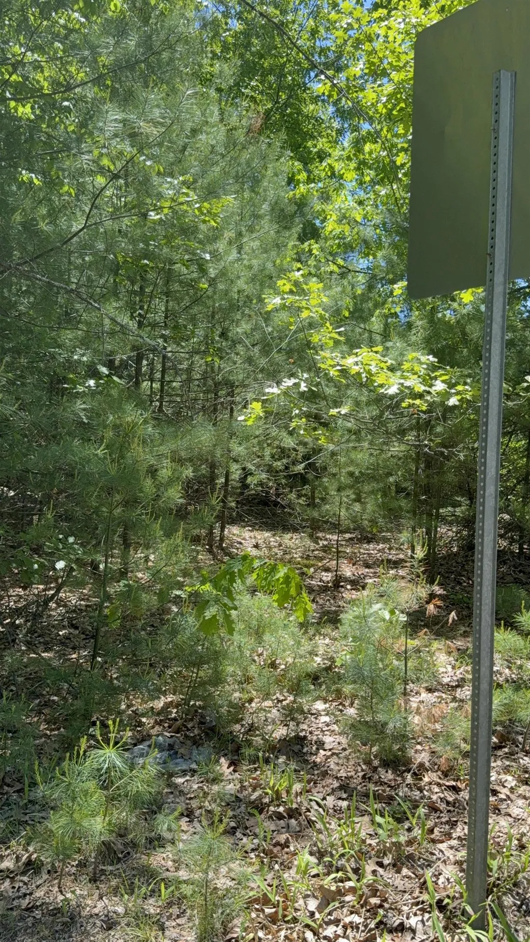 Lot 33, 34, 35 Washington Street Barrington NH 03825