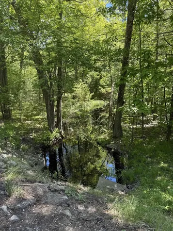 Lot 33, 34, 35 Washington Street Barrington NH 03825