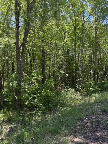 Lot 33, 34, 35 Washington Street Barrington NH 03825