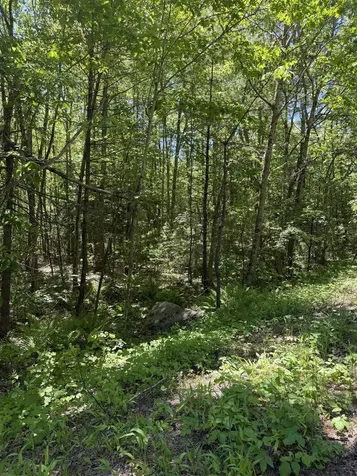 Lot 33, 34, 35 Washington Street Barrington NH 03825
