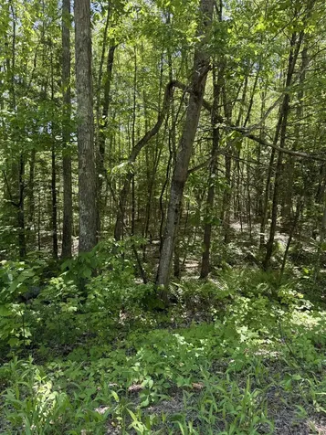 Lot 33, 34, 35 Washington Street Barrington NH 03825
