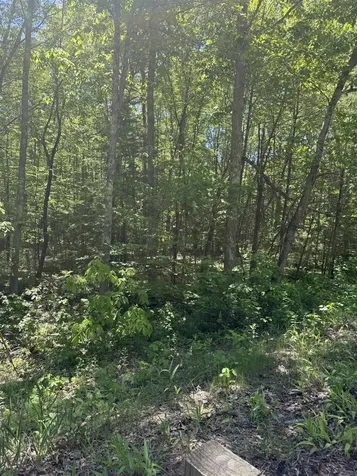 Lot 33, 34, 35 Washington Street Barrington NH 03825
