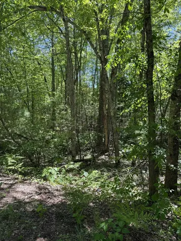 Lot 33, 34, 35 Washington Street Barrington NH 03825