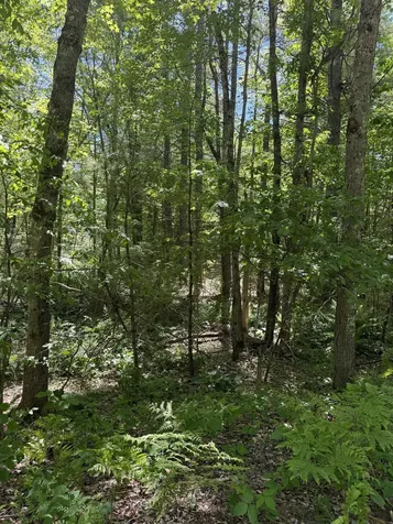 Lot 33, 34, 35 Washington Street Barrington NH 03825